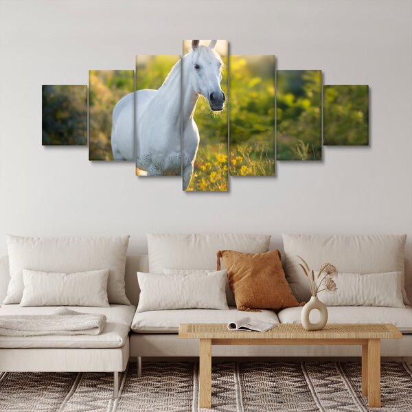 Obraz bílého koně na louce (210x100 cm)