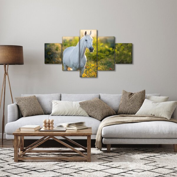 Obraz bílého koně na louce (125x70 cm)