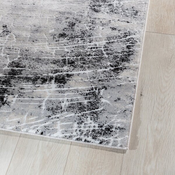 Eltap Koberec Bardot Gray Rozměr (cm): 80 x 150
