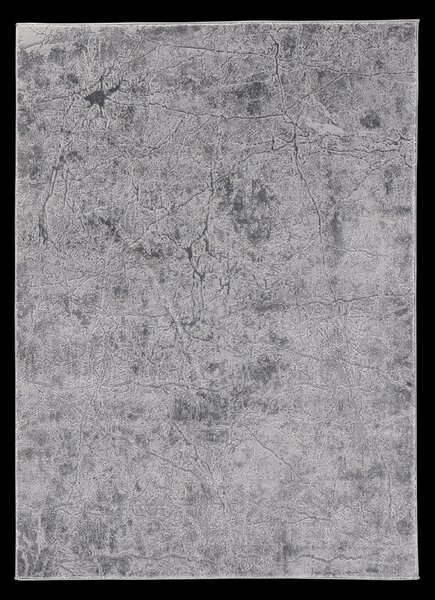 Eltap Koberec Siggi Grey Rozměr (cm): 80 x 150