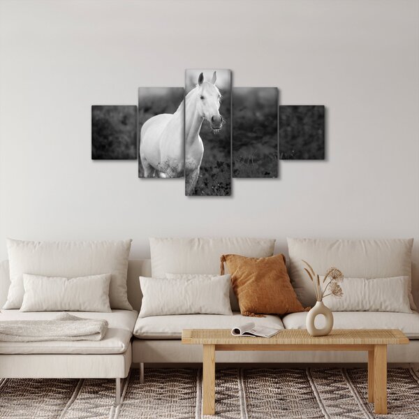Obraz bílého koně na louce, černobílá (125x70 cm)