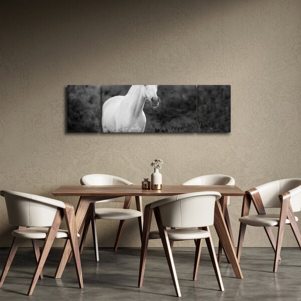 Obraz bílého koně na louce, černobílá (170x50 cm)
