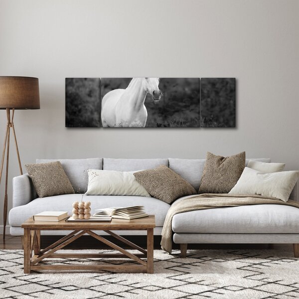 Obraz bílého koně na louce, černobílá (170x50 cm)