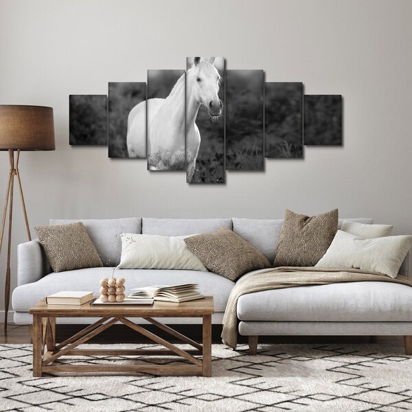 Obraz bílého koně na louce, černobílá (210x100 cm)