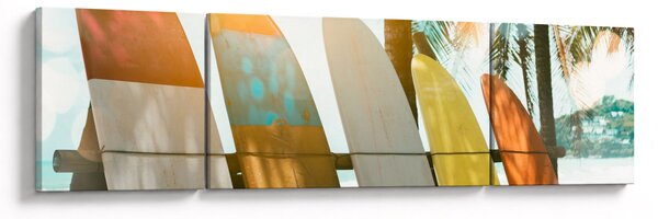 Obraz - Surfovací prkna (170x50 cm)