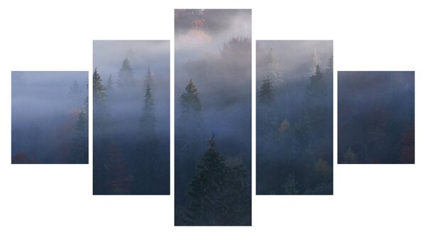 Obraz - Les v mlze, Karpaty, Ukrajina (125x70 cm)
