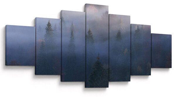 Obraz - Les v mlze, Karpaty, Ukrajina (210x100 cm)
