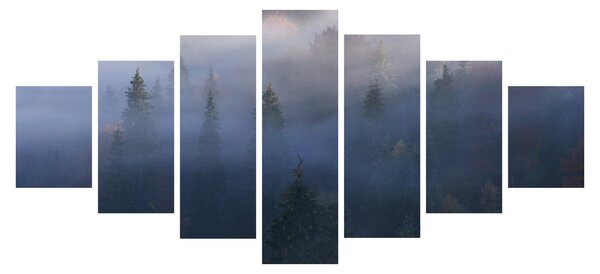 Obraz - Les v mlze, Karpaty, Ukrajina (210x100 cm)