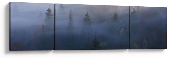 Obraz - Les v mlze, Karpaty, Ukrajina (170x50 cm)