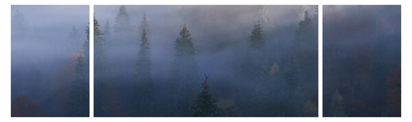 Obraz - Les v mlze, Karpaty, Ukrajina (170x50 cm)