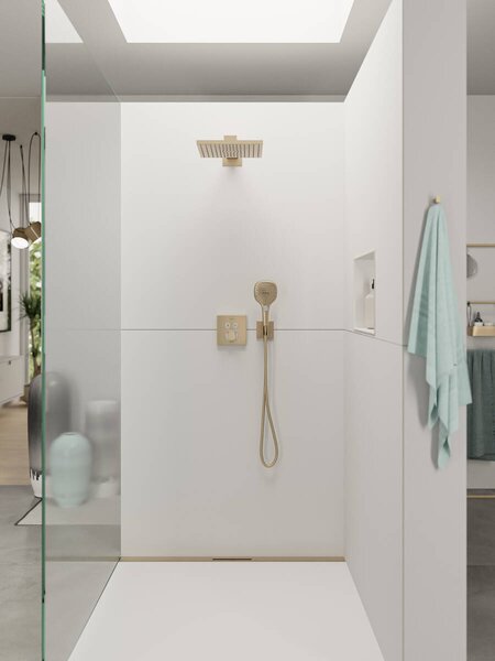 Hansgrohe Raindance Select E 120 ruční sprcha 3jet, kartáčovaný bronz 26520140