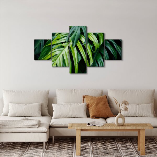 Obraz - Tropické listy (125x70 cm)