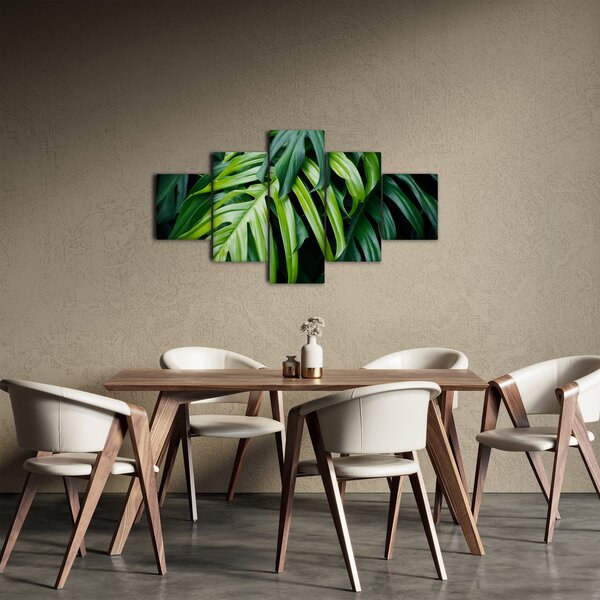 Obraz - Tropické listy (125x70 cm)