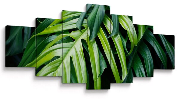 Obraz - Tropické listy (210x100 cm)