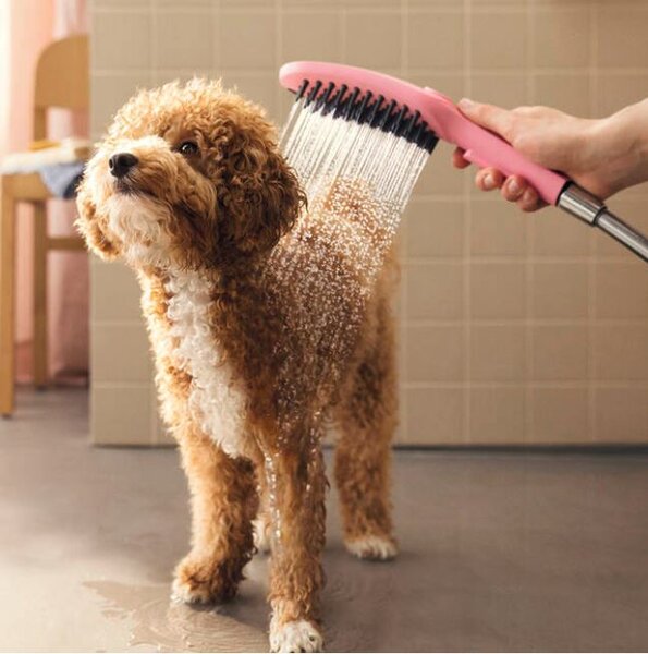 Hansgrohe DogShower Ruční sprcha pro psy 150 3jet s masážními tryskami, růžová, 26640560