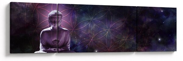 Obraz - Buddha s květy života (170x50 cm)
