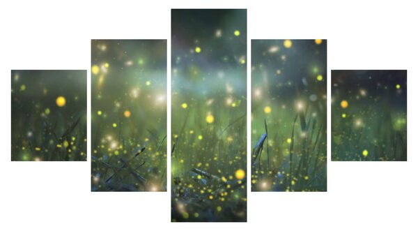 Obraz - Kouzelná noc (125x70 cm)