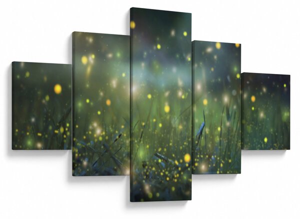 Obraz - Kouzelná noc (125x70 cm)