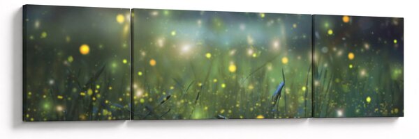 Obraz - Kouzelná noc (170x50 cm)