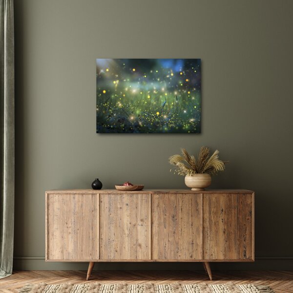 Obraz - Kouzelná noc (70x50 cm)