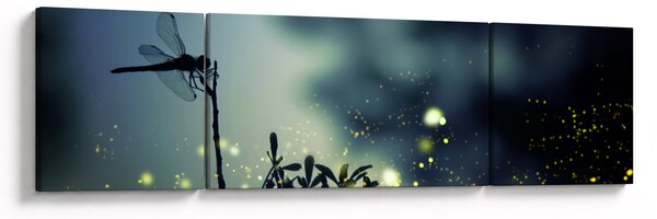 Obraz - Vážka za třpytivé noci (170x50 cm)