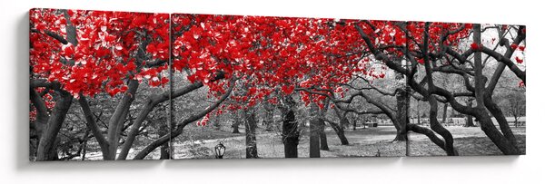 Obraz - Červené stromy, Central Park, New York (170x50 cm)