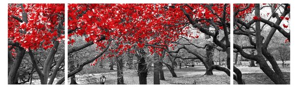 Obraz - Červené stromy, Central Park, New York (170x50 cm)