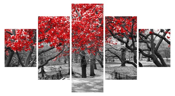 Obraz - Červené stromy, Central Park, New York (125x70 cm)