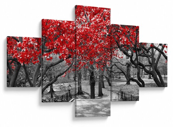 Obraz - Červené stromy, Central Park, New York (125x70 cm)
