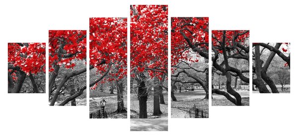 Obraz - Červené stromy, Central Park, New York (210x100 cm)