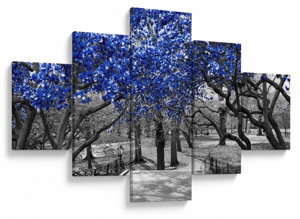 Obraz - Modré stromy, Central Park, New York (125x70 cm)