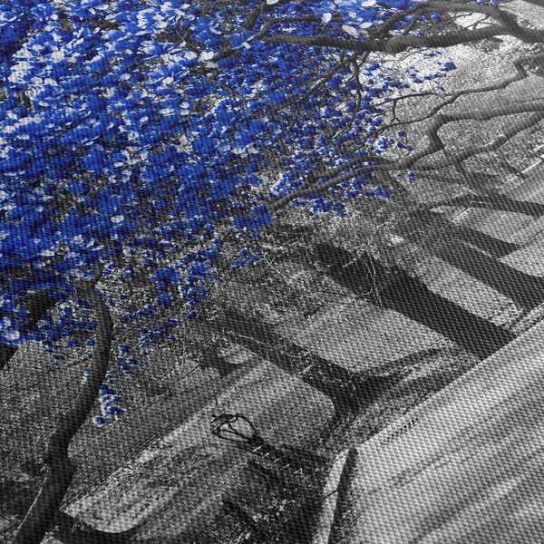 Obraz - Modré stromy, Central Park, New York (30x30 cm)