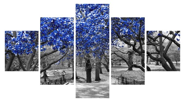 Obraz - Modré stromy, Central Park, New York (125x70 cm)