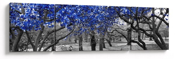 Obraz - Modré stromy, Central Park, New York (170x50 cm)