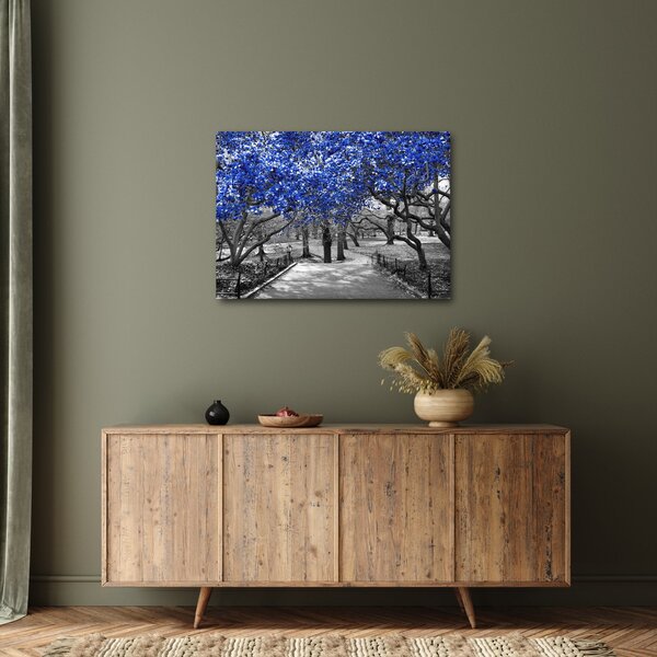 Obraz - Modré stromy, Central Park, New York (70x50 cm)