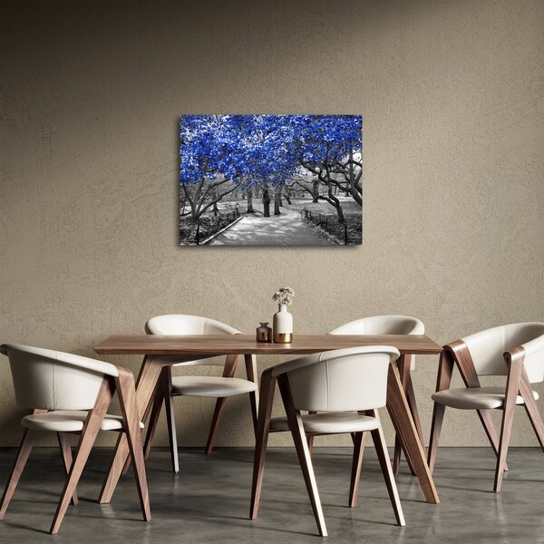 Obraz - Modré stromy, Central Park, New York (70x50 cm)