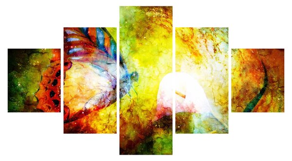 Obraz - Kosmický motýl (125x70 cm)