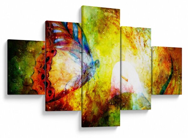 Obraz - Kosmický motýl (125x70 cm)