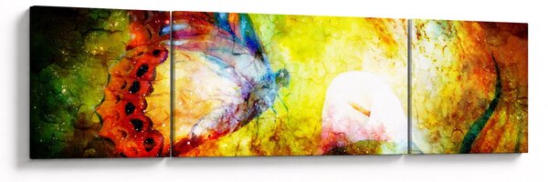 Obraz - Kosmický motýl (170x50 cm)