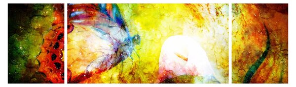 Obraz - Kosmický motýl (170x50 cm)