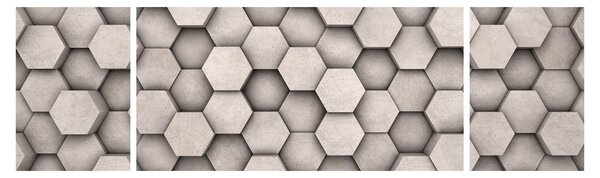 Obraz - Hexagony v betonovém designu (170x50 cm)