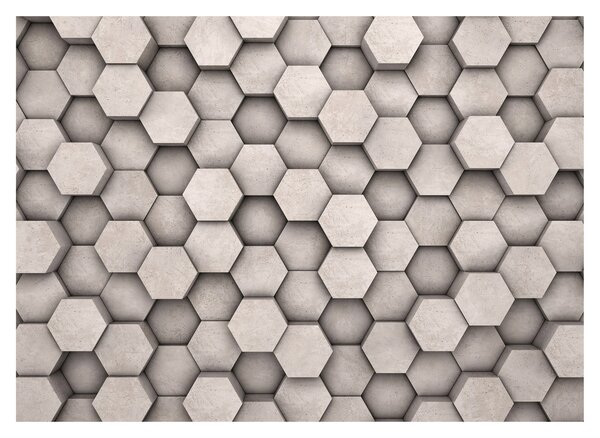 Obraz - Hexagony v betonovém designu (70x50 cm)