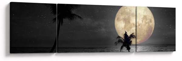 Obraz - Pláž za úplňku v šedých tónech (170x50 cm)