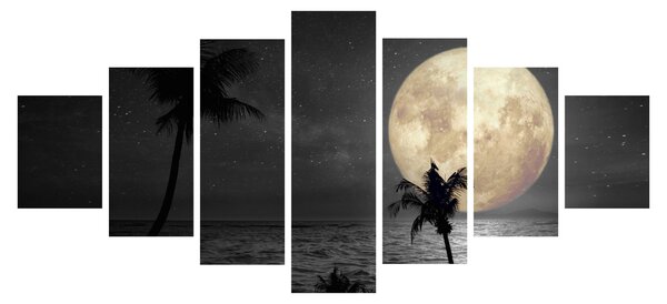 Obraz - Pláž za úplňku v šedých tónech (210x100 cm)