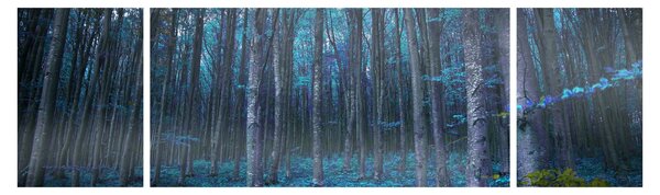 Obraz - Magický les (170x50 cm)