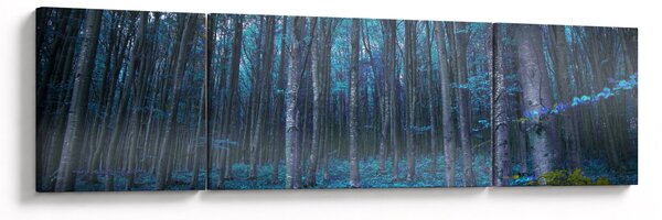Obraz - Magický les (170x50 cm)