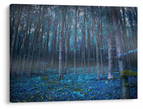 Obraz - Magický les (70x50 cm)