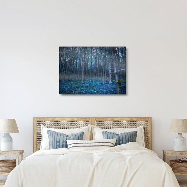 Obraz - Magický les (70x50 cm)