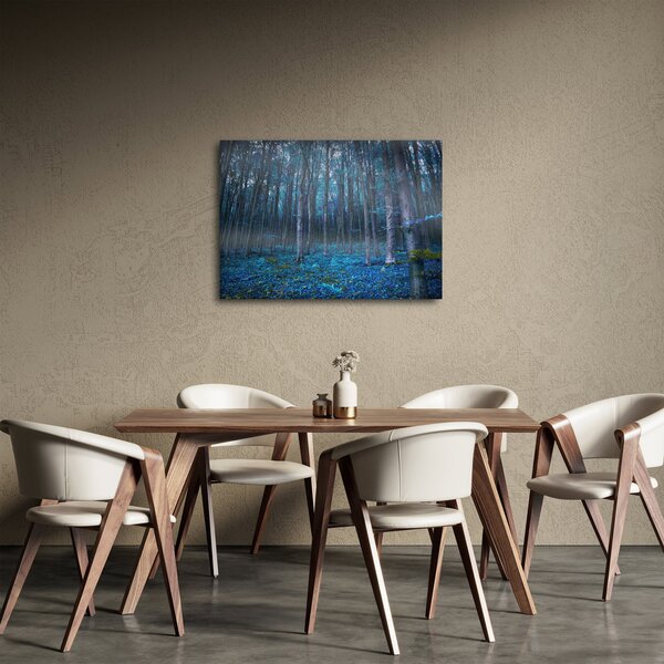 Obraz - Magický les (70x50 cm)