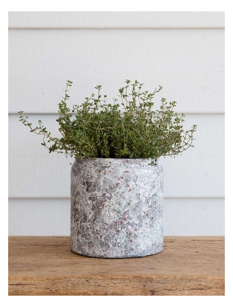 Keramický květináč Withington Rustic Grey 15,5 cm Garden Trading